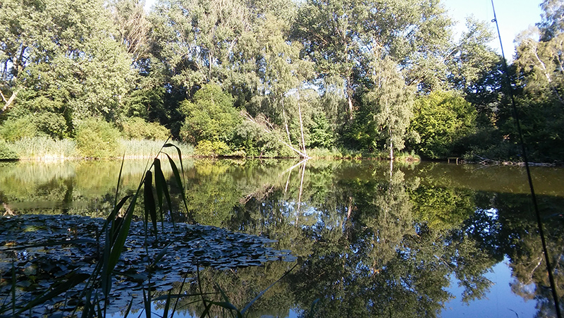 Neuer Angelteich