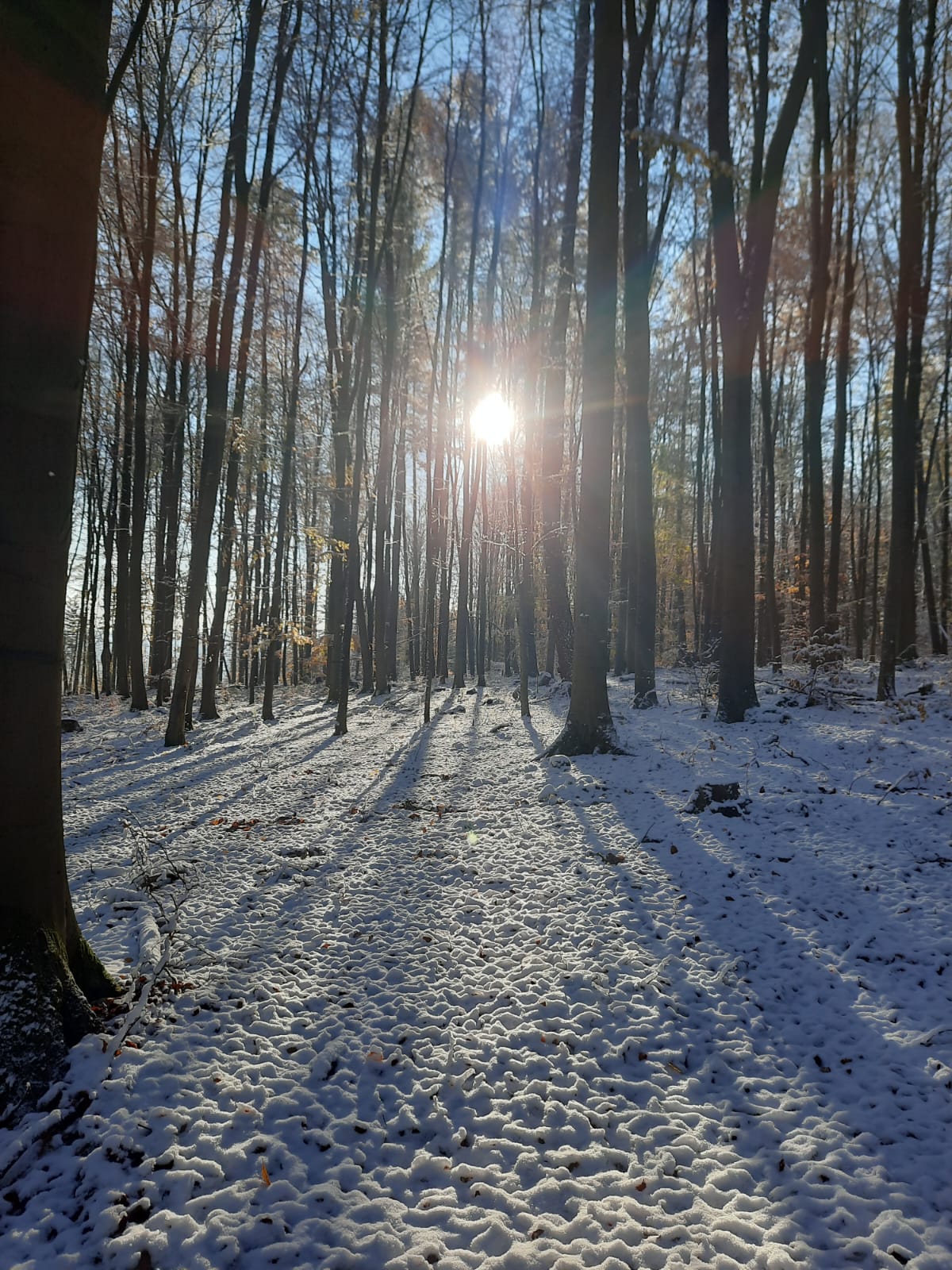 Ergebnisse SNOW Cup 2